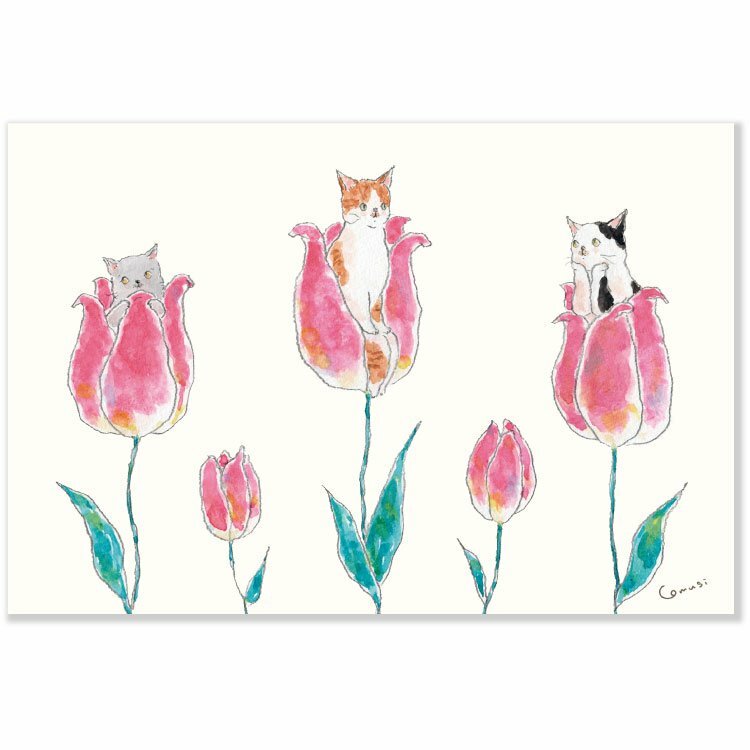 拇指姑娘貓 トコロコムギ系列 明信片｜日本ACTIVE CORPORATION