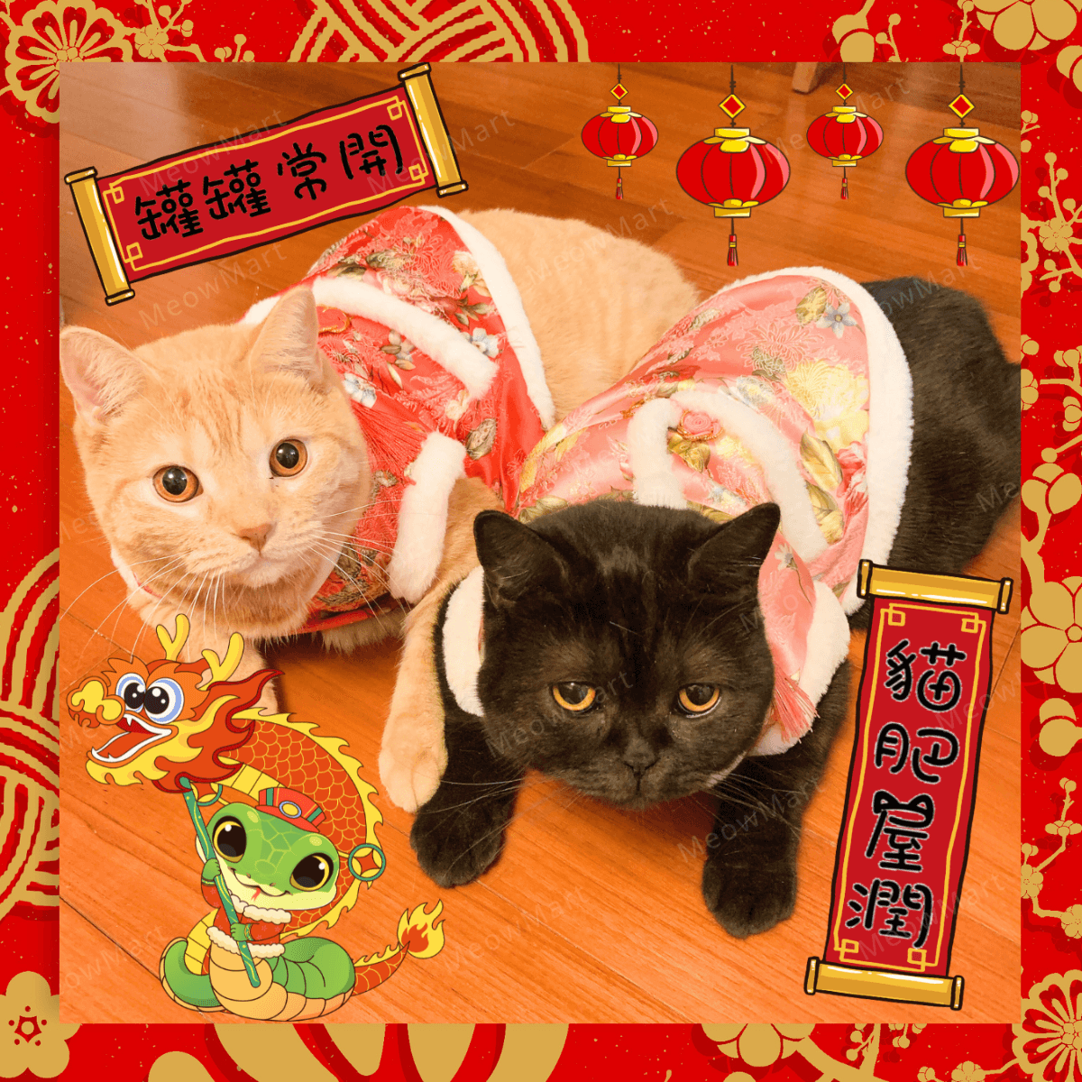 牡丹刺繡新年唐裝