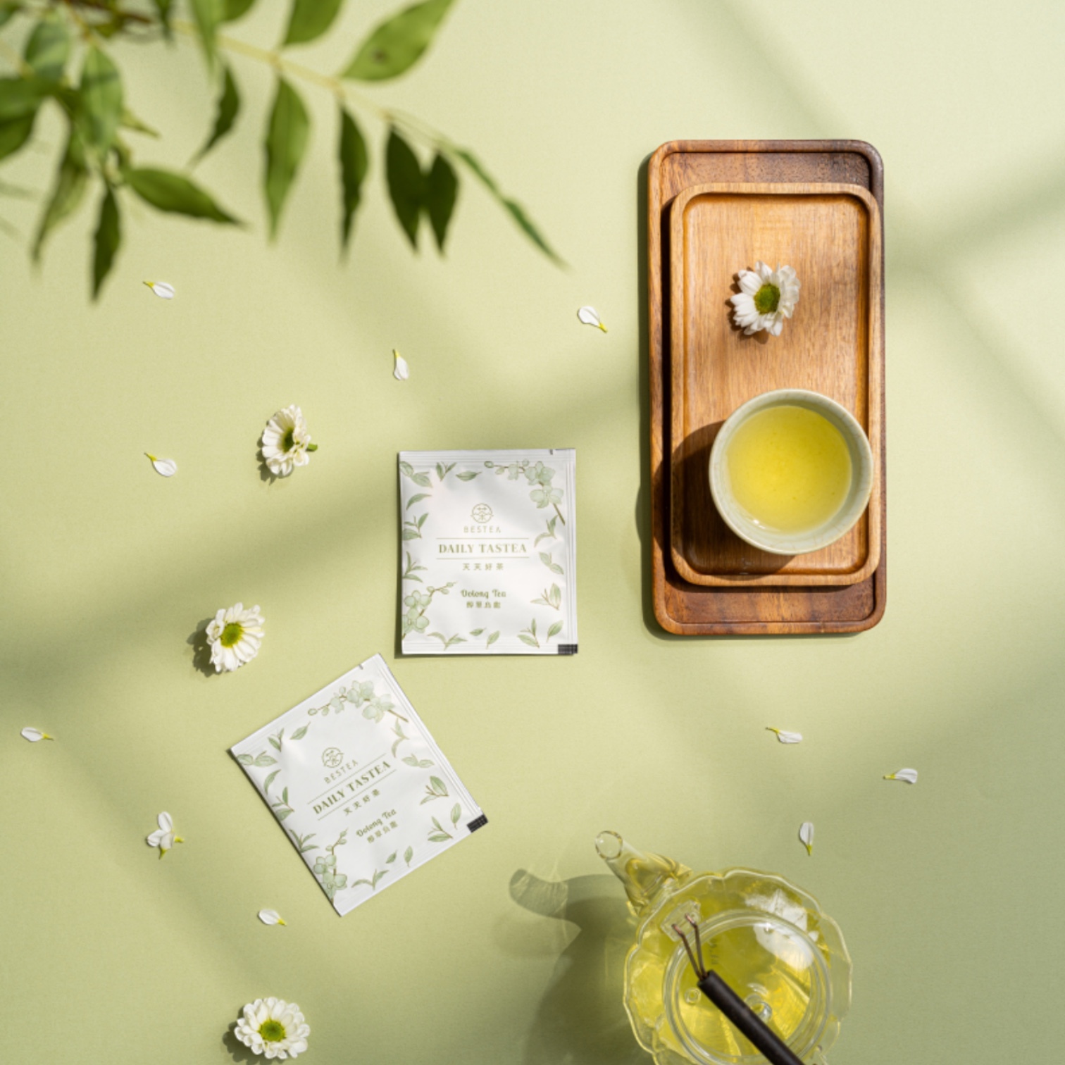 醇翠烏龍｜原葉茶包12入｜天天好茶