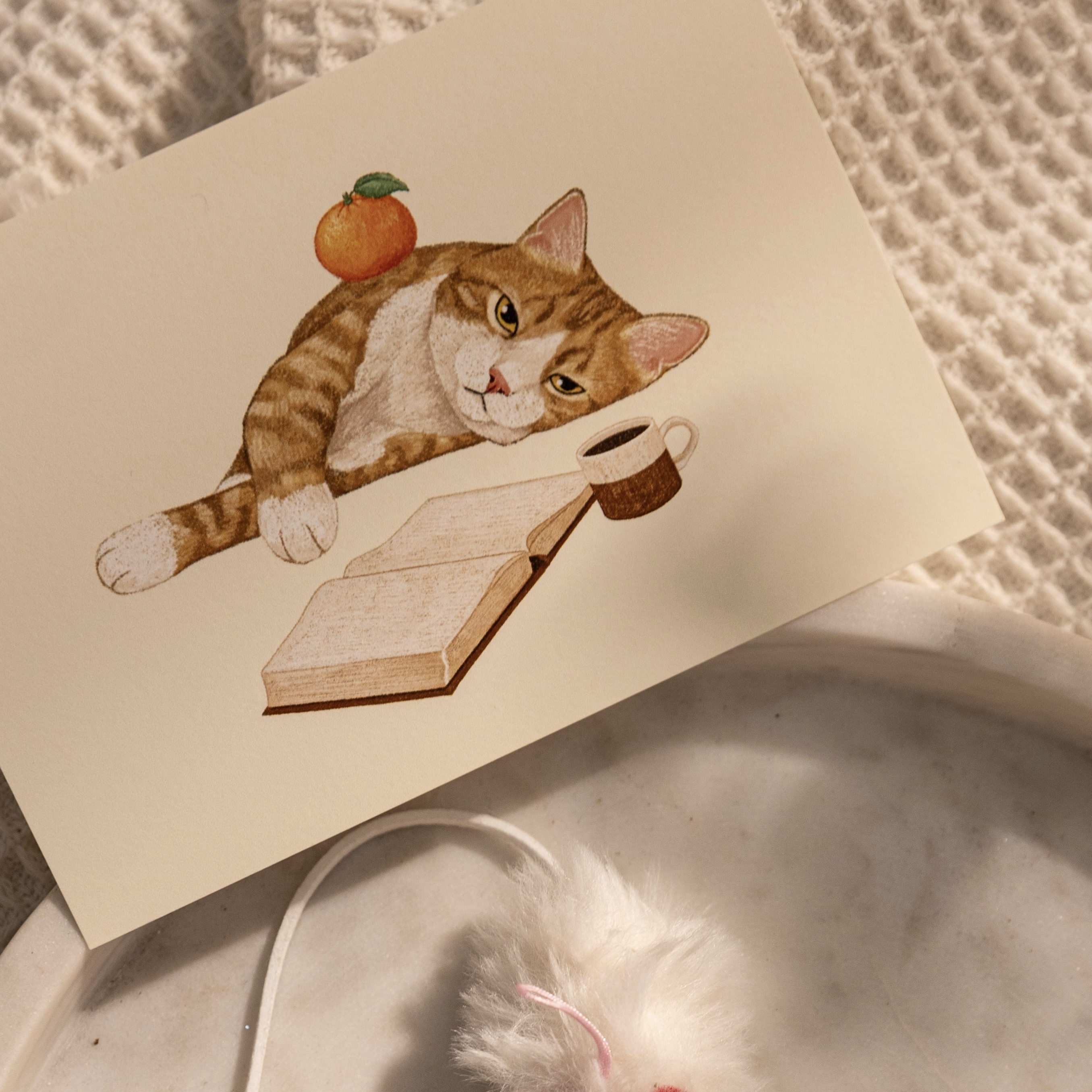 明信片┃懶洋洋