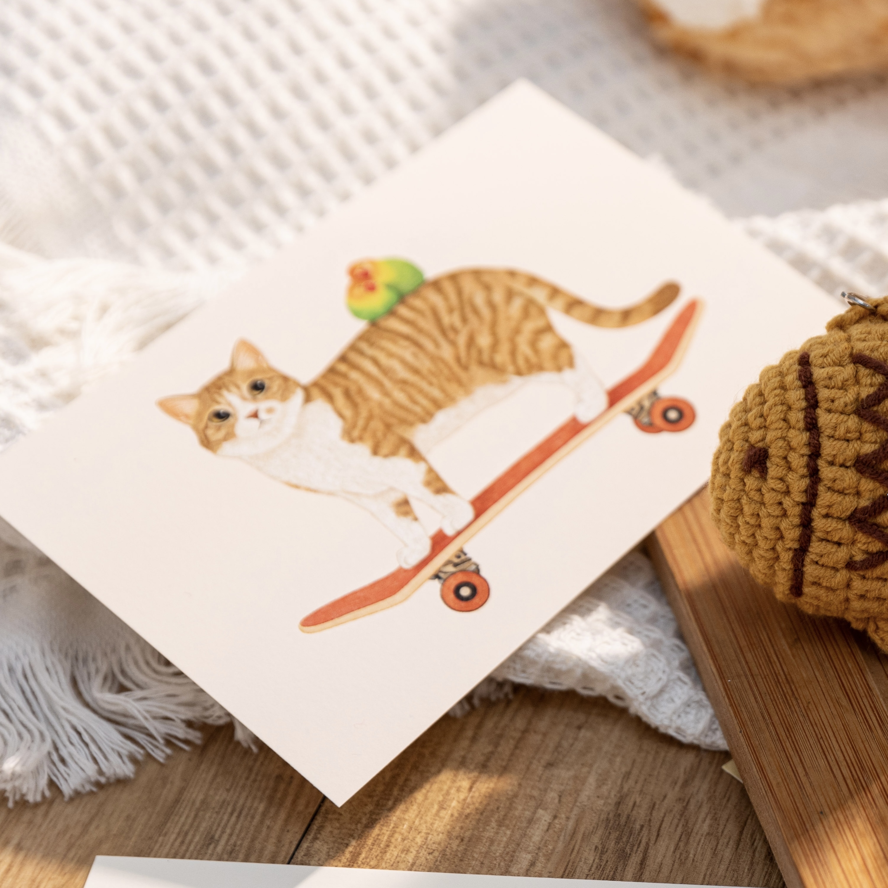 明信片┃我有小客人