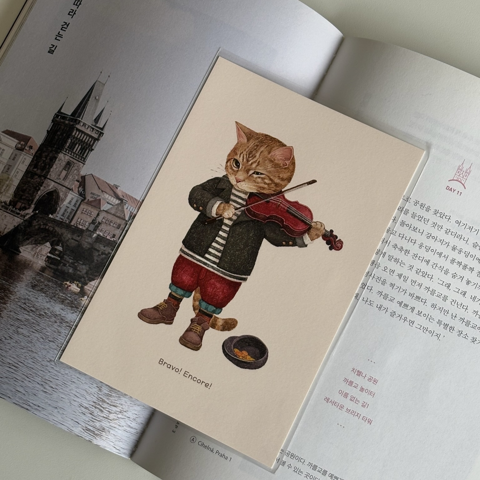 明信片┃小提琴演奏