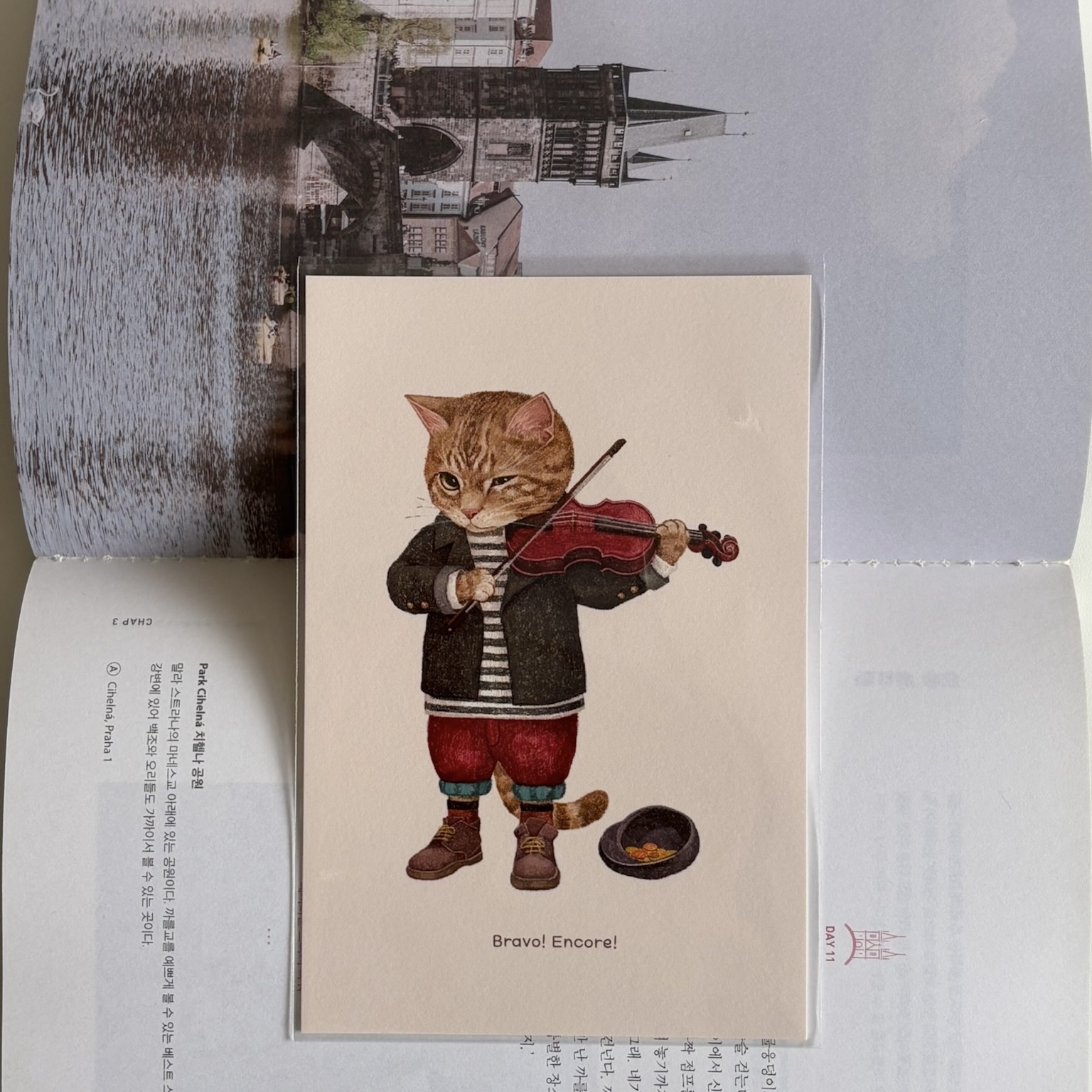 明信片┃小提琴演奏