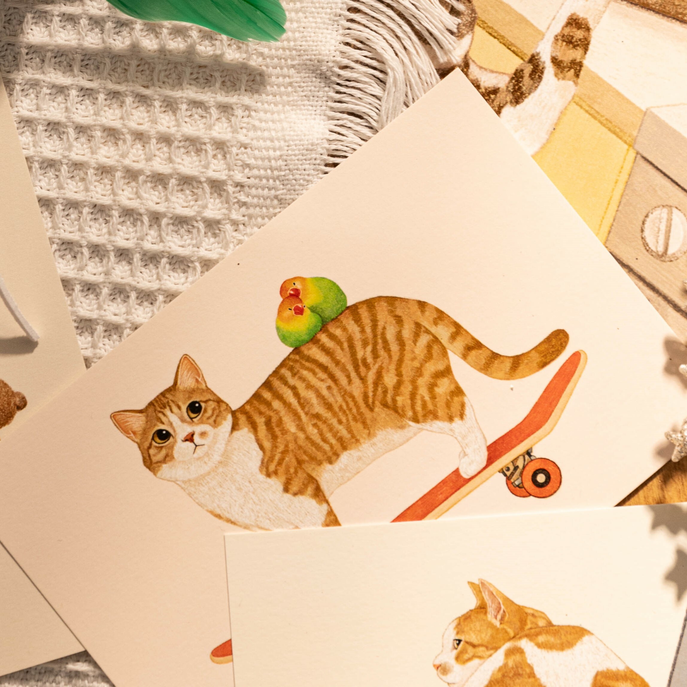 明信片┃我有小客人