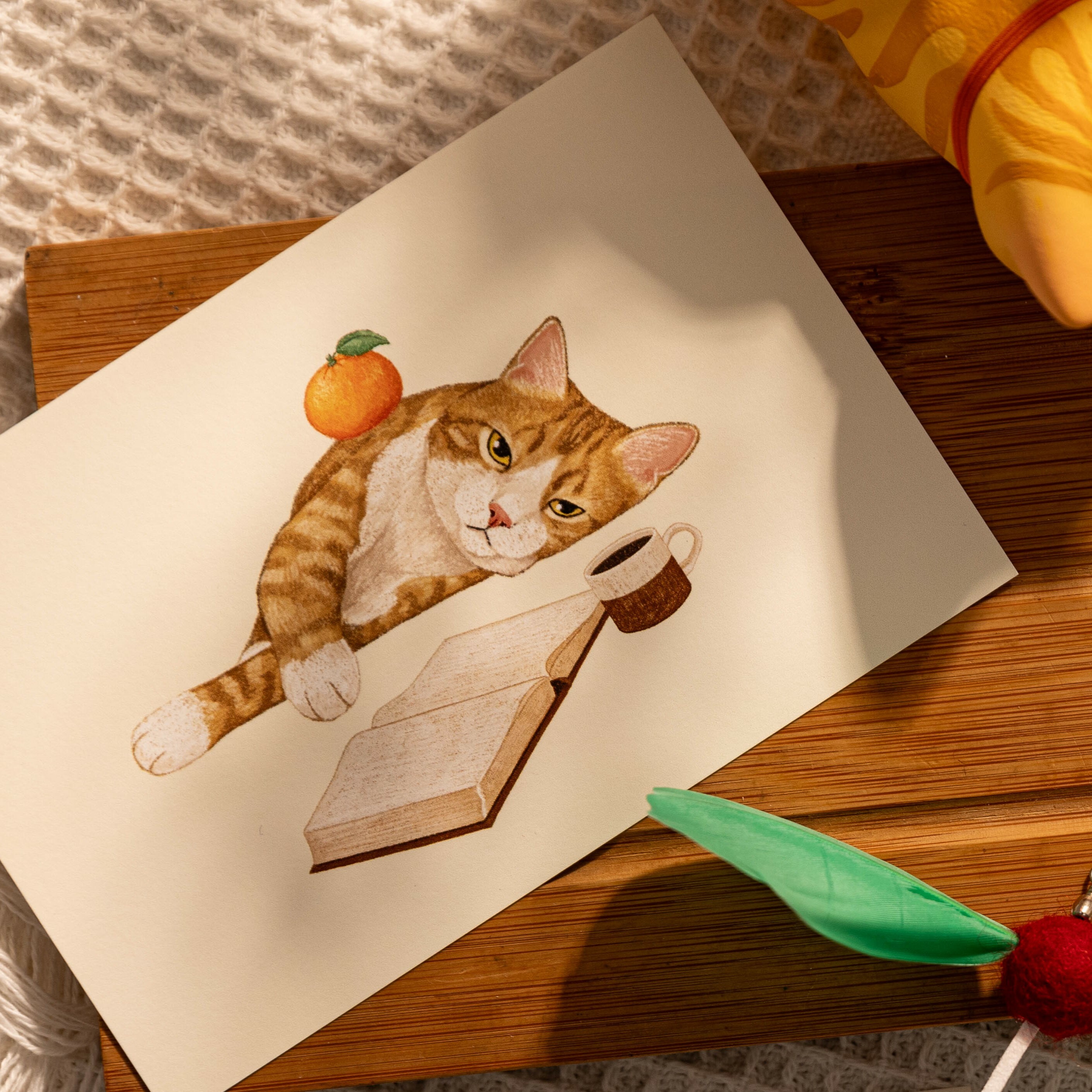 明信片┃懶洋洋