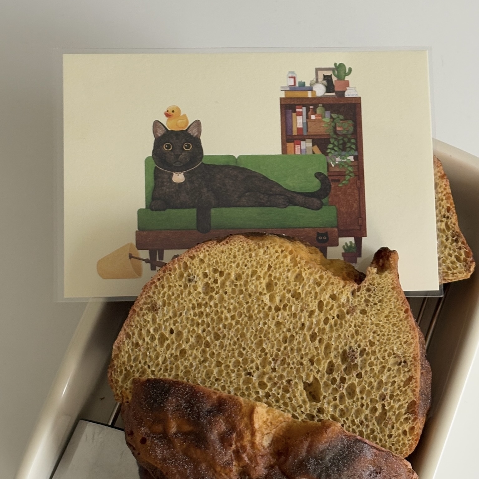 明信片┃沙發上