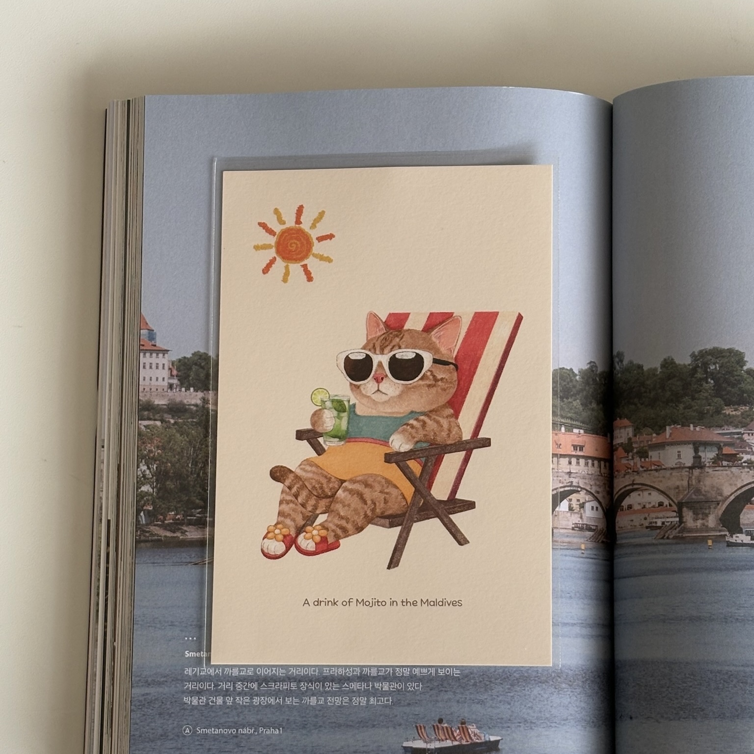 明信片┃日光浴進行中