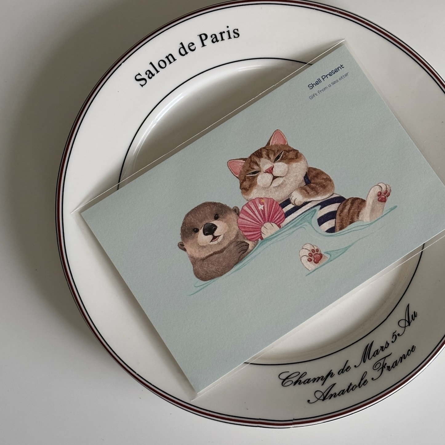 明信片┃水中的貝殼禮物