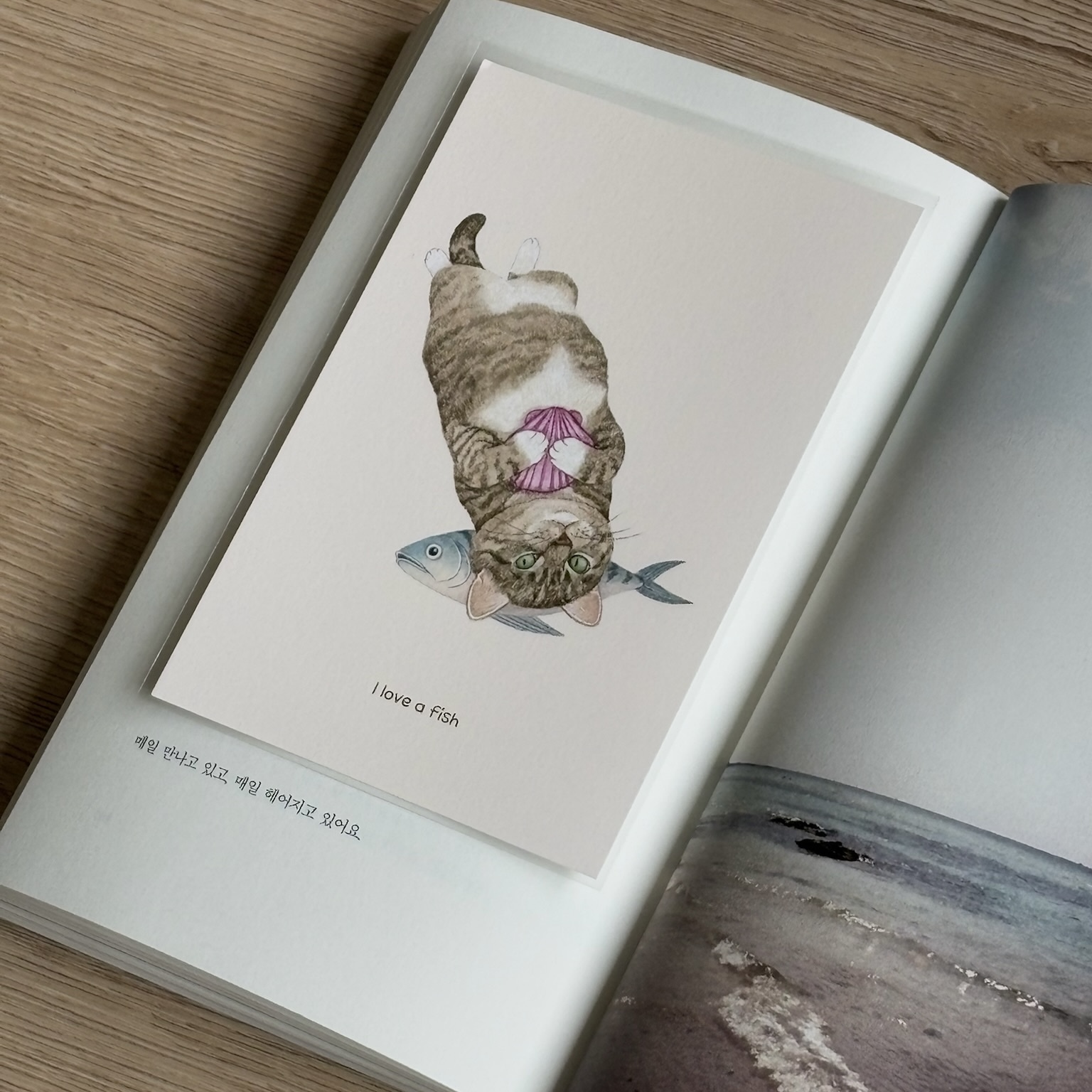 明信片┃我有一隻魚