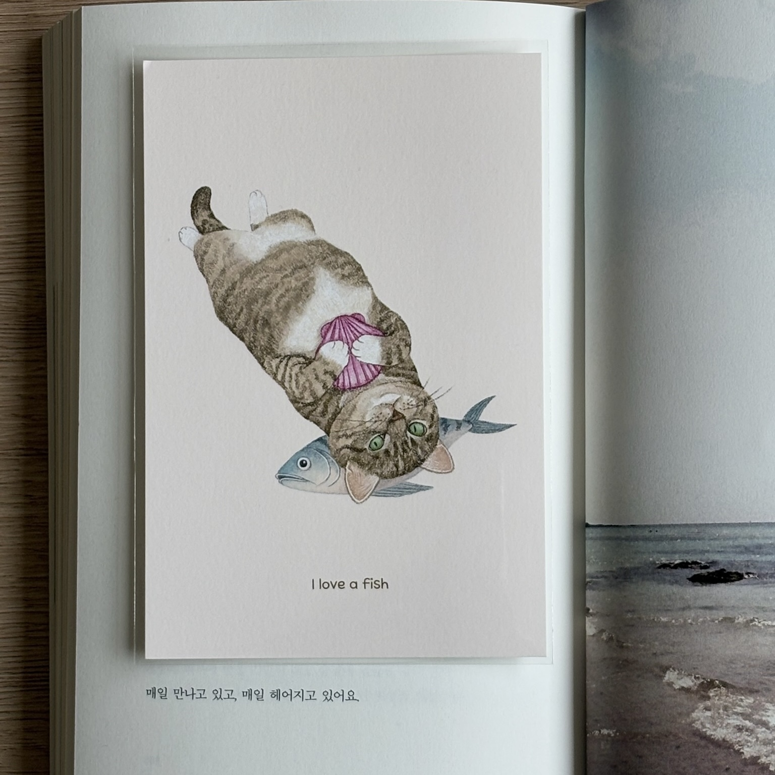 明信片┃我有一隻魚