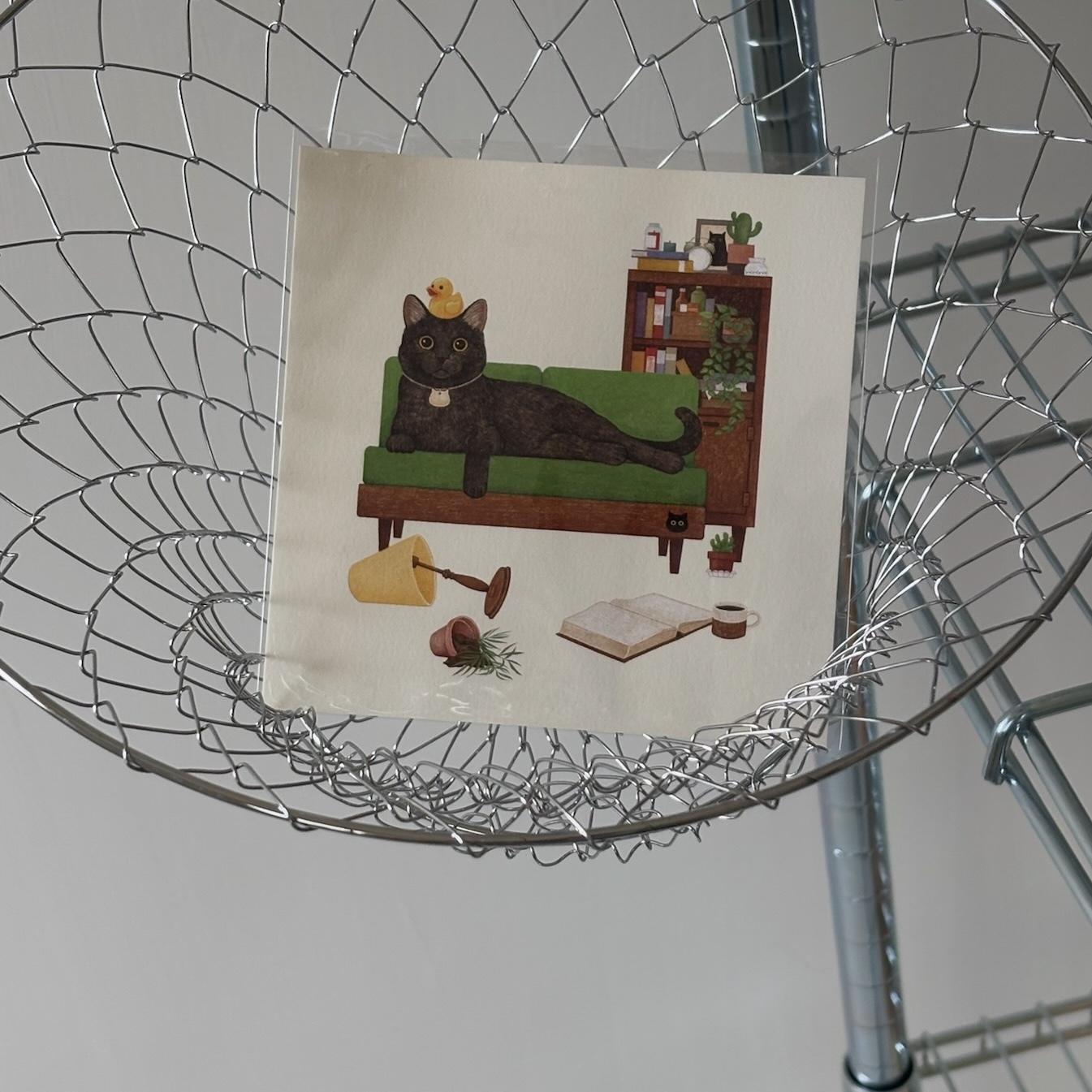 明信片┃沙發上