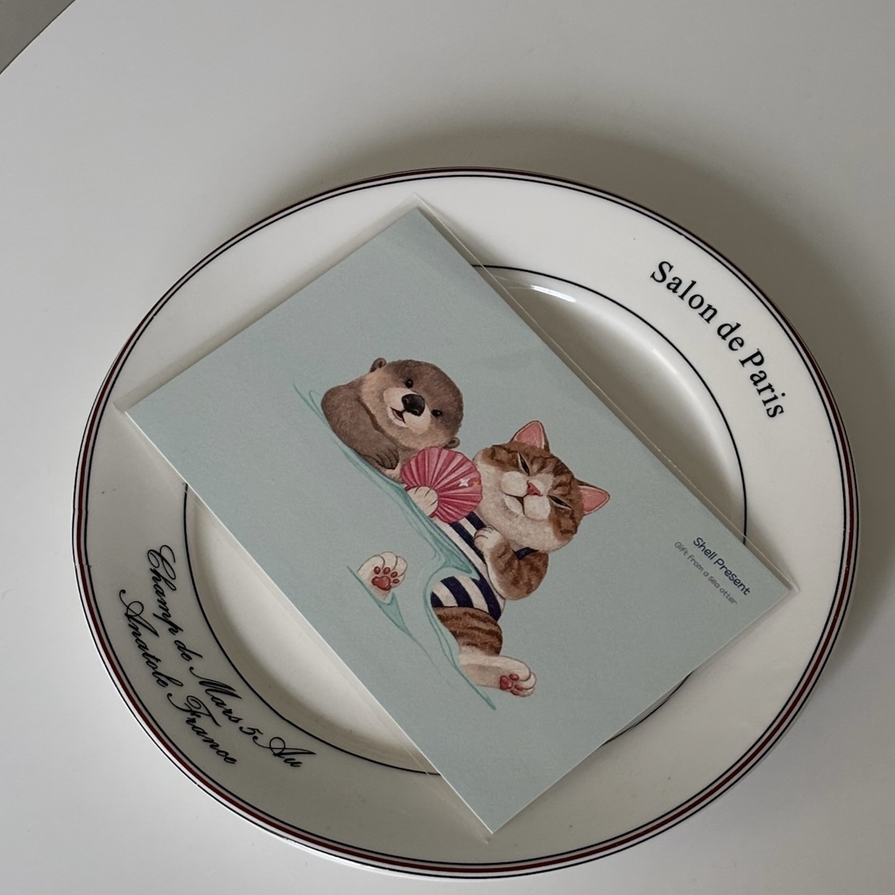 明信片┃水中的貝殼禮物