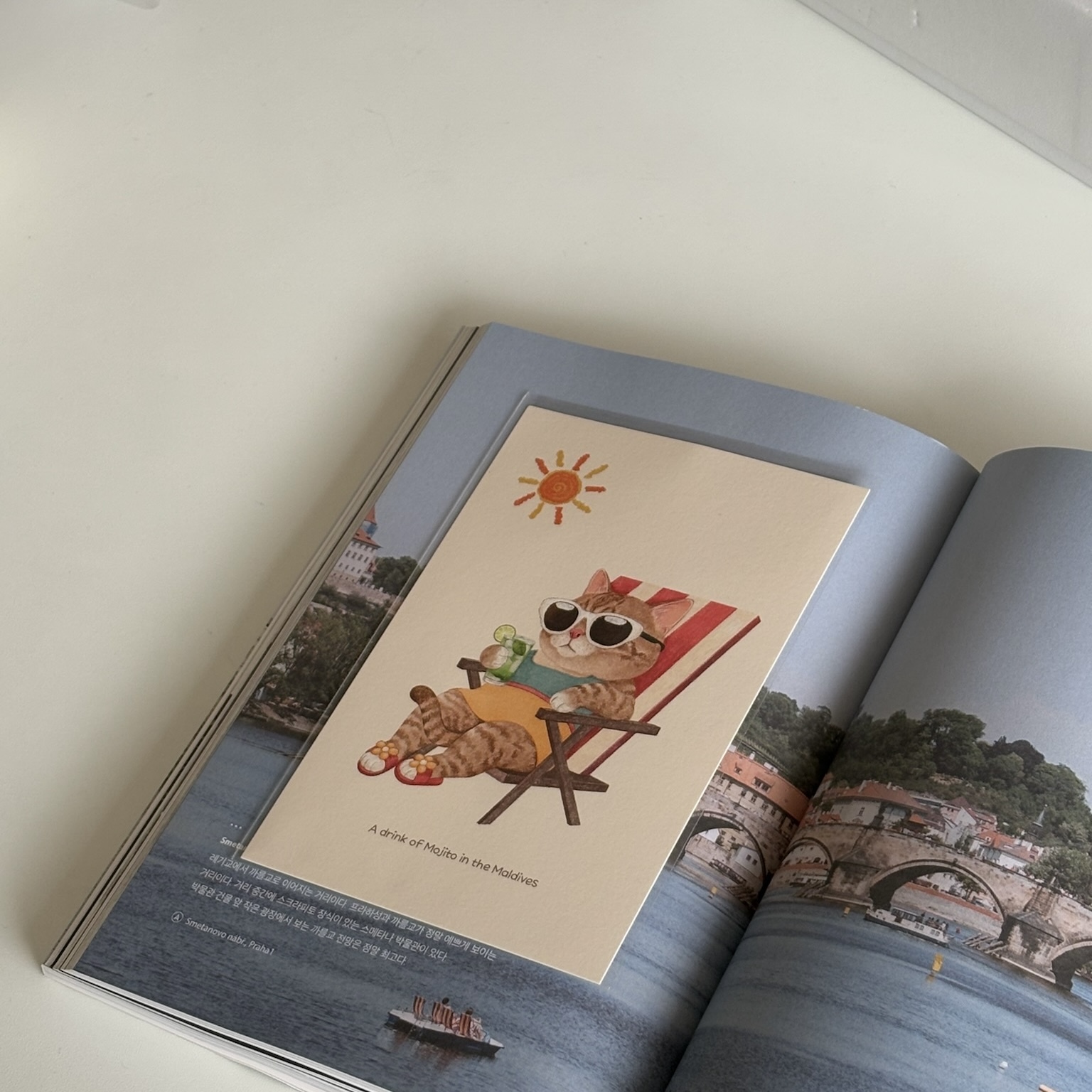 明信片┃日光浴進行中