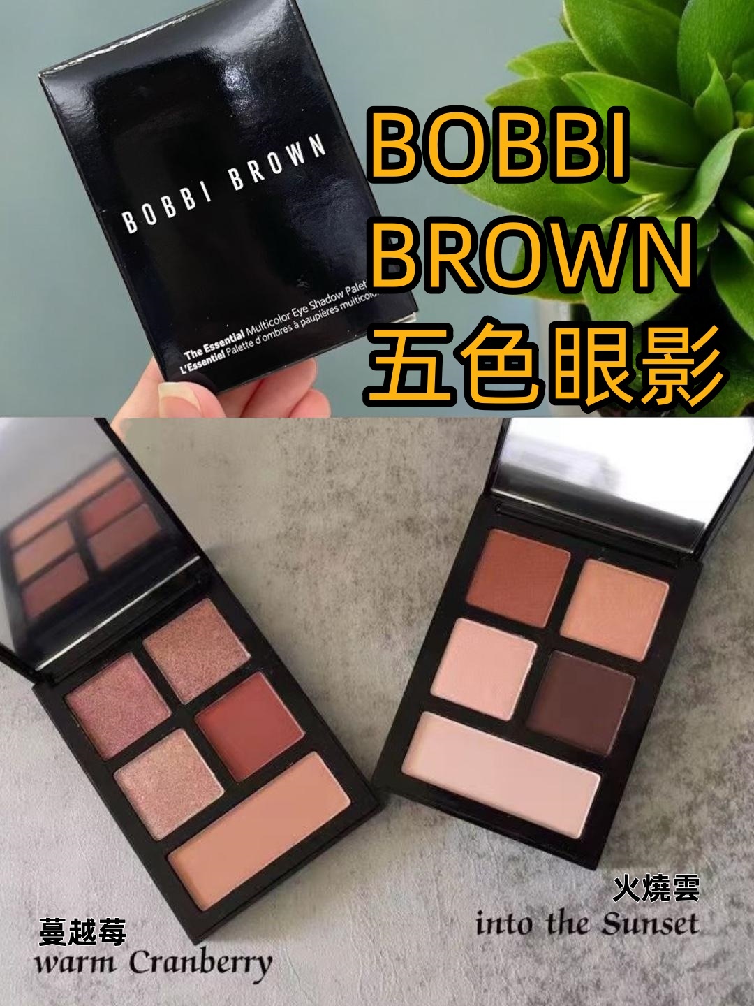 BOBBI BROWN 五色眼影