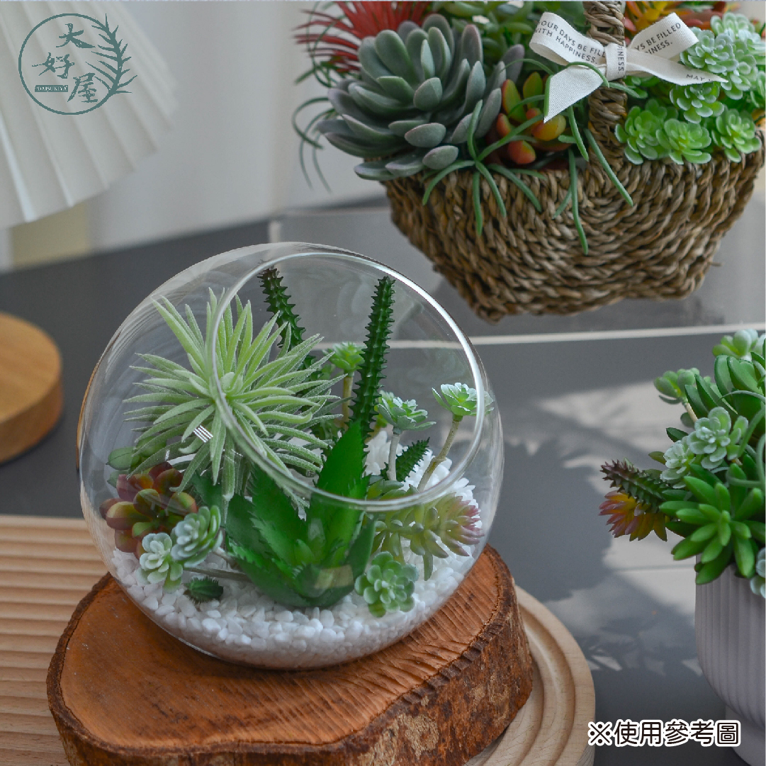 仿真多肉植物-圓葉類
