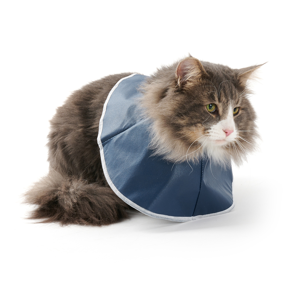 一隻窩在地上戴著貓軟布頭套的貓咪