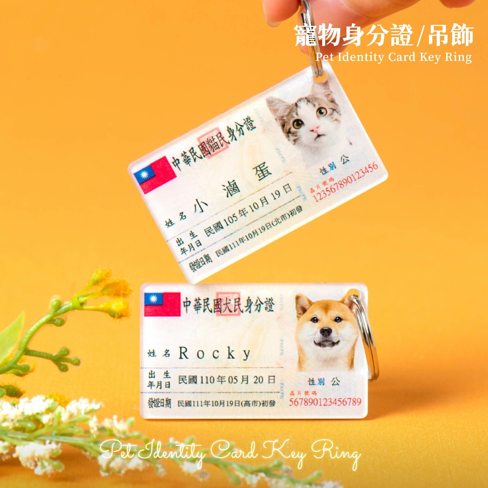 寵物身分證-5