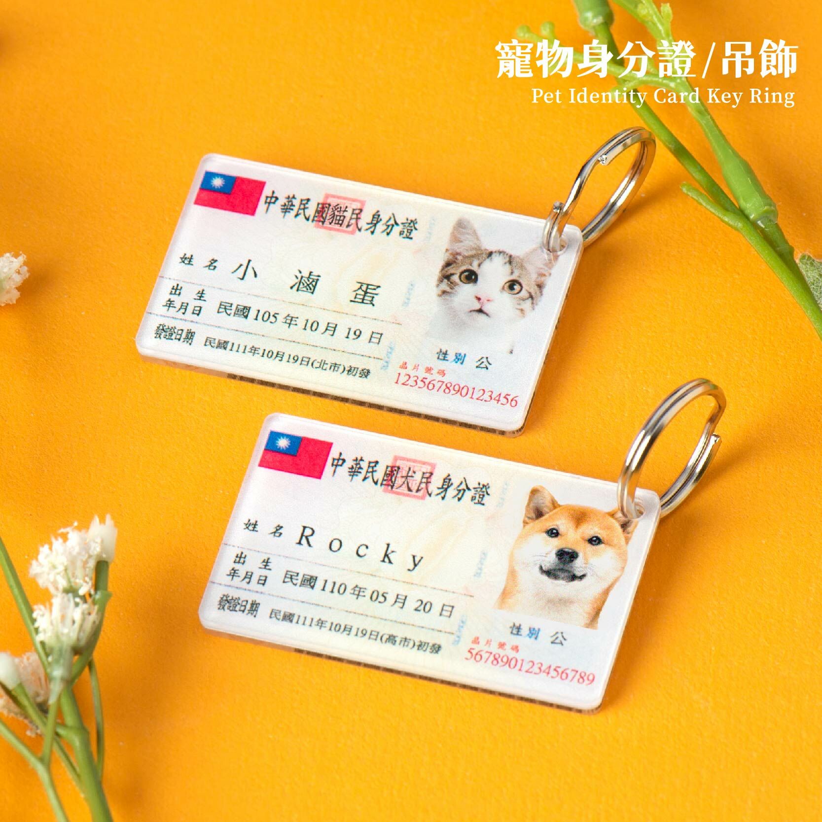 寵物身分證-4