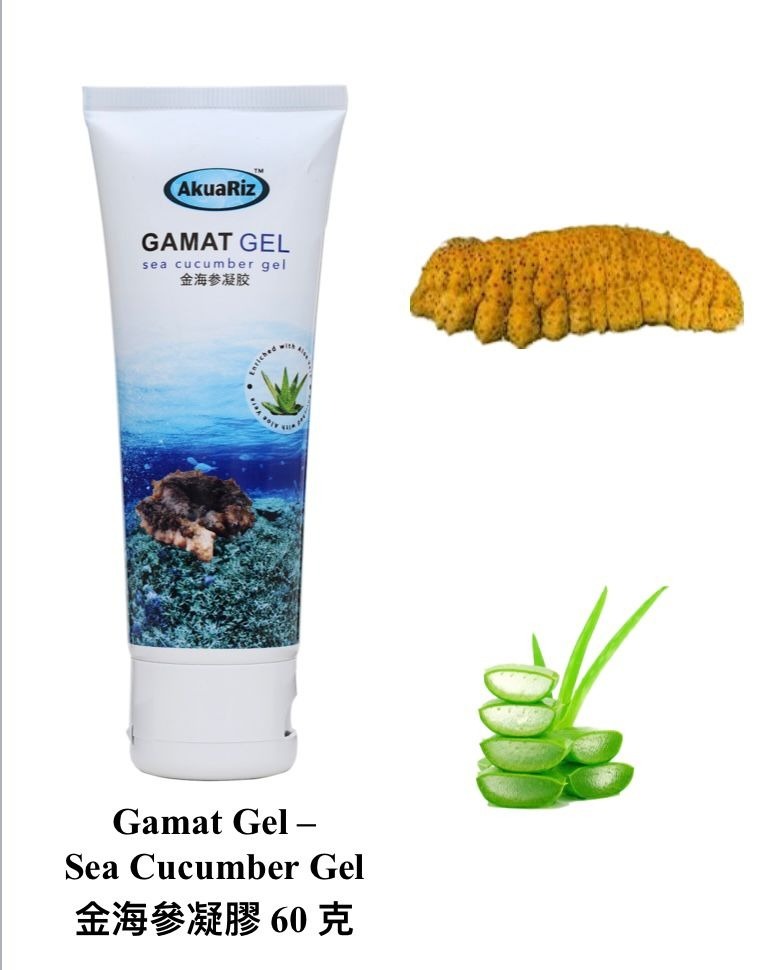 (1873)【組合優惠】Akuariz Gamat Gel  亞古歷金海參凝膠 60g