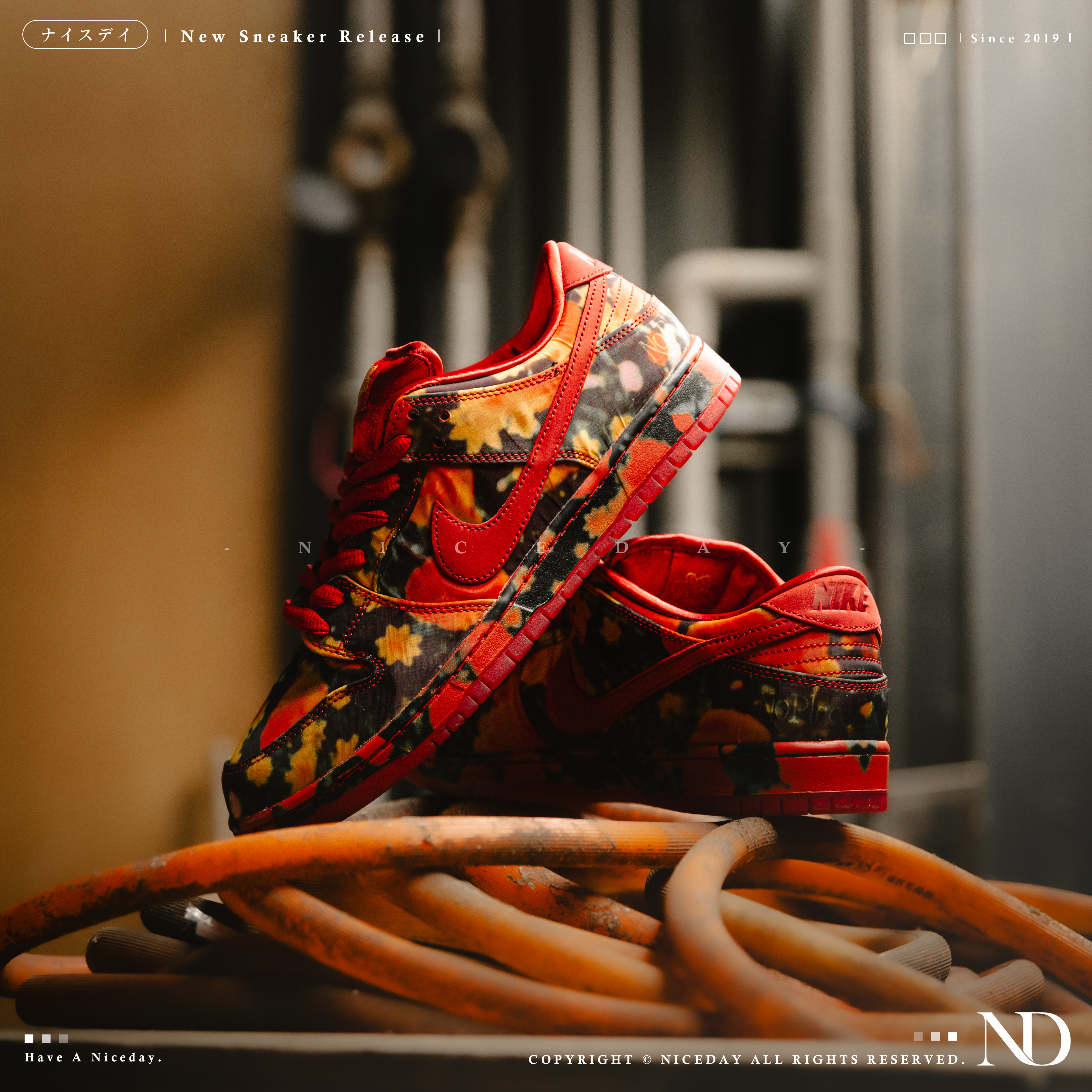 NICEDAY 代購 Nike SB Dunk Low 紅花卉 男女尺寸 FZ1291-600