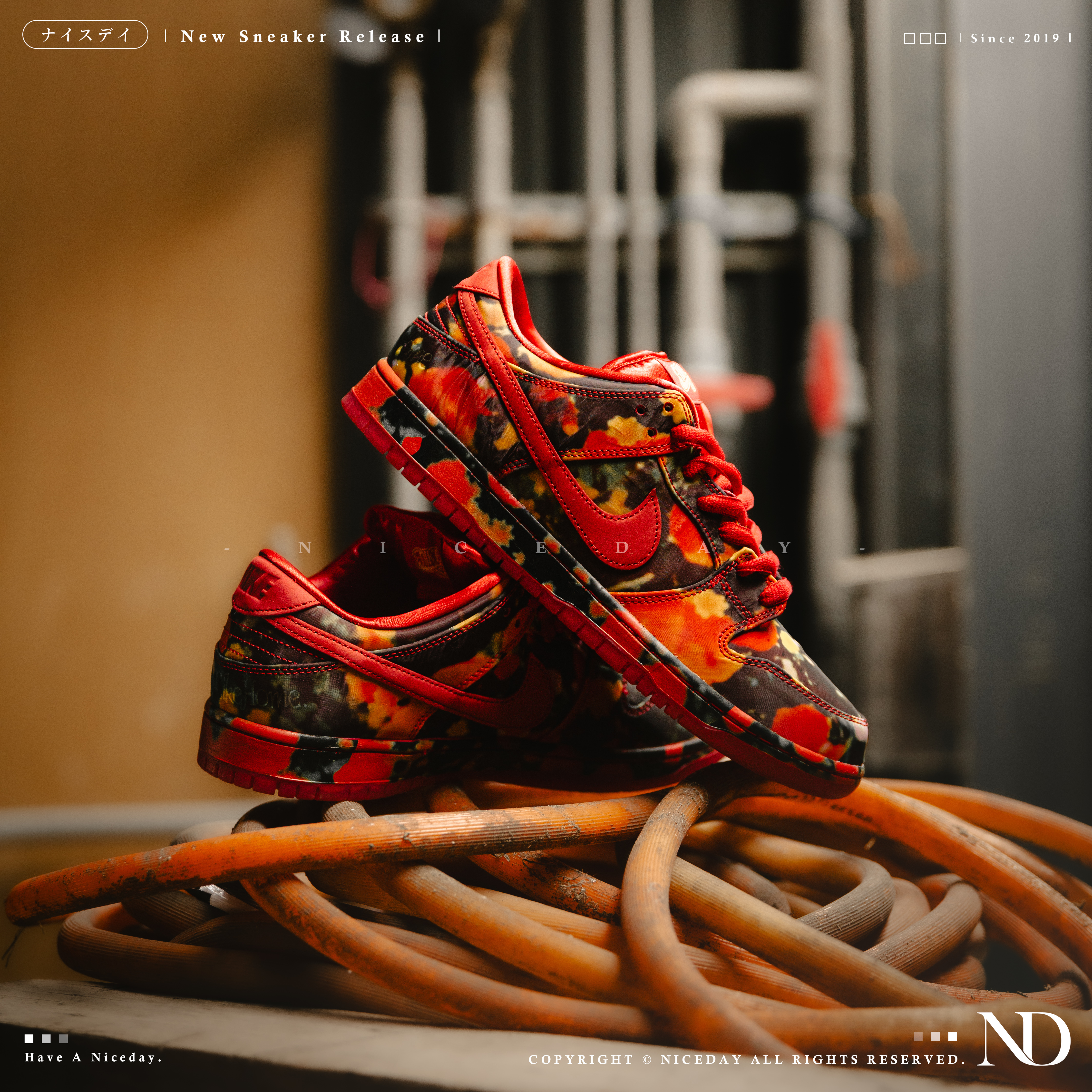 NICEDAY 代購 Nike SB Dunk Low 紅花卉 男女尺寸 FZ1291-600