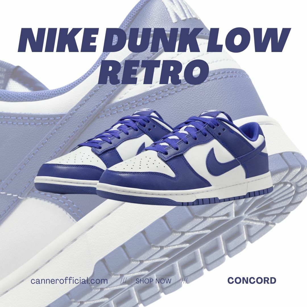 Nike Dunk Low "Concord" 白紫 低筒 男鞋 DV0833-103
