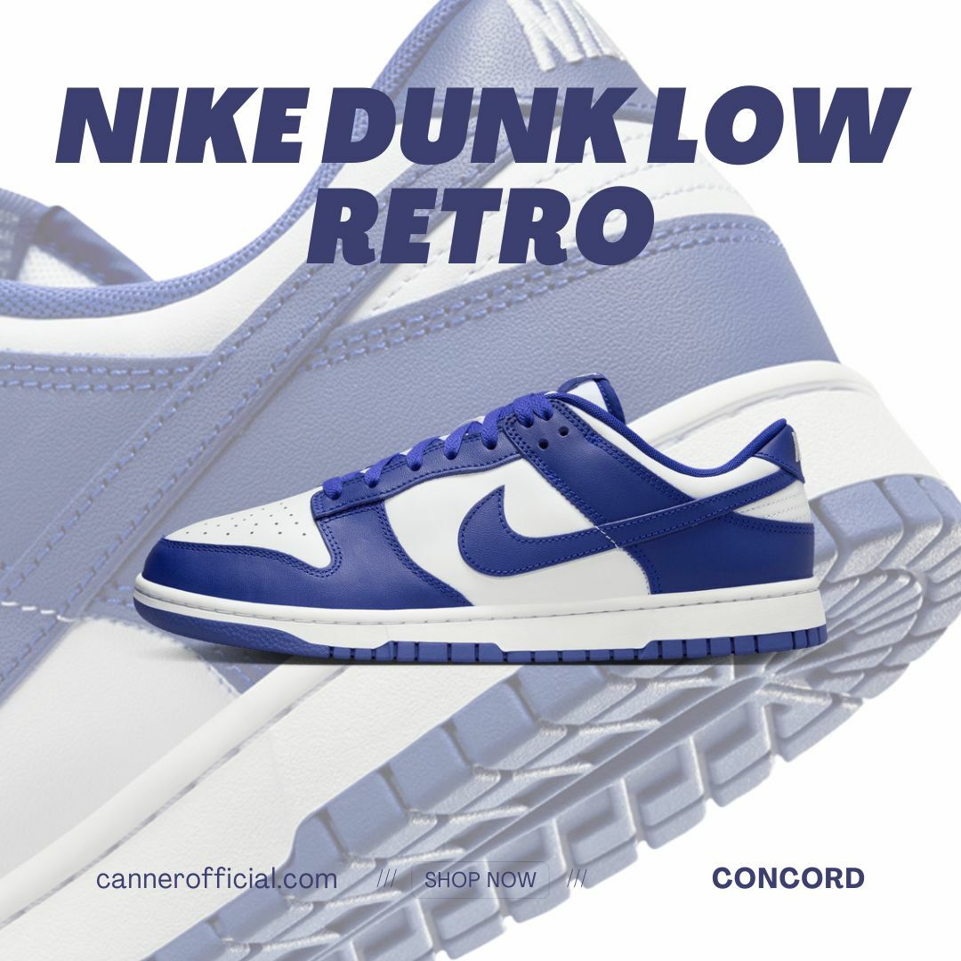 Nike Dunk Low "Concord" 白紫 低筒 男鞋 DV0833-103