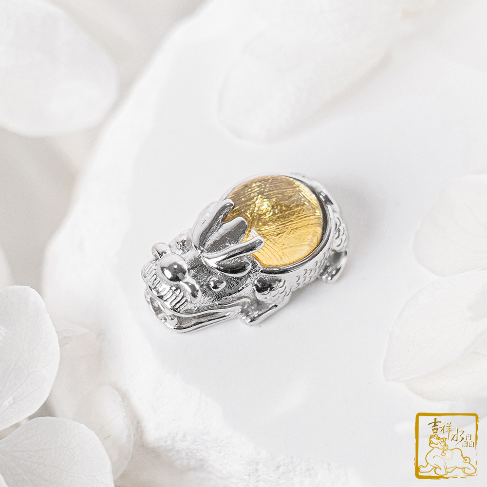 鎳鐵隕石-天鐵隕石龍龜 單珠 / 五色可挑