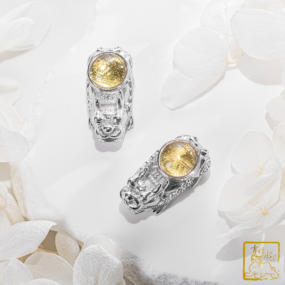 鎳鐵隕石-天鐵隕石貔貅(大) 單珠 / 三色可挑