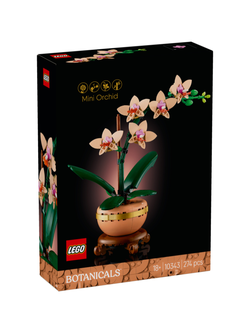 LEGO 10343 迷你蘭花