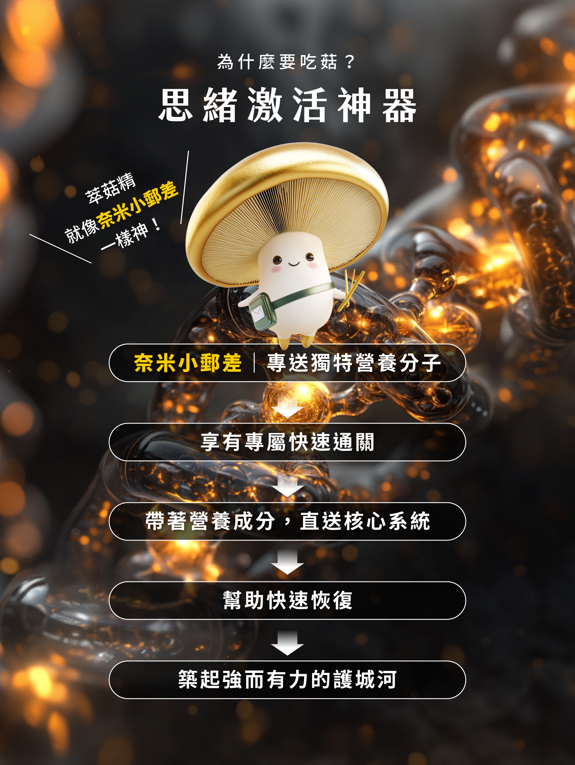 GA黃金甲 萃菇精