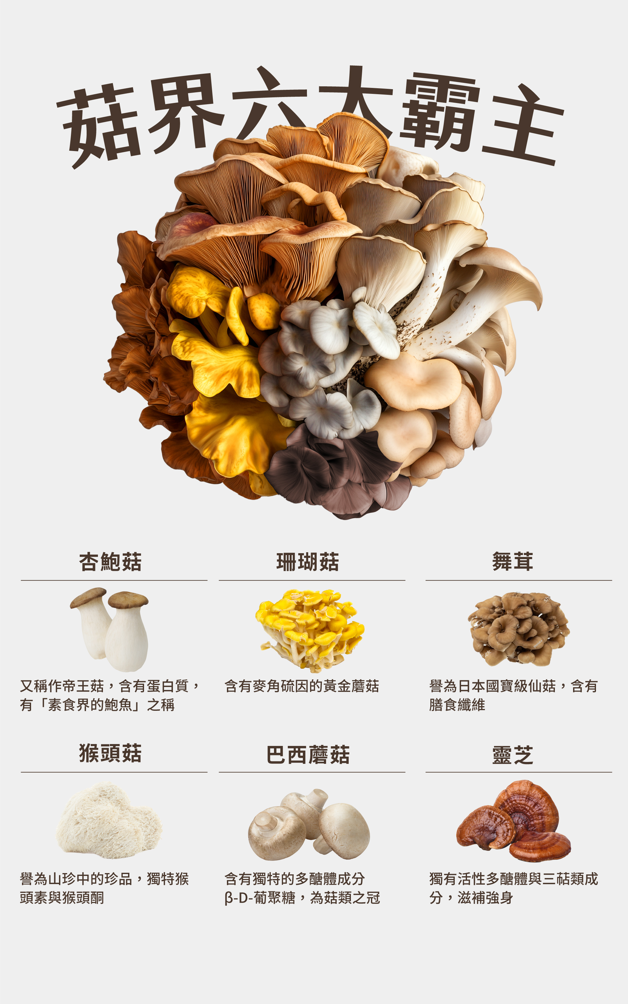 GA黃金甲 萃菇精