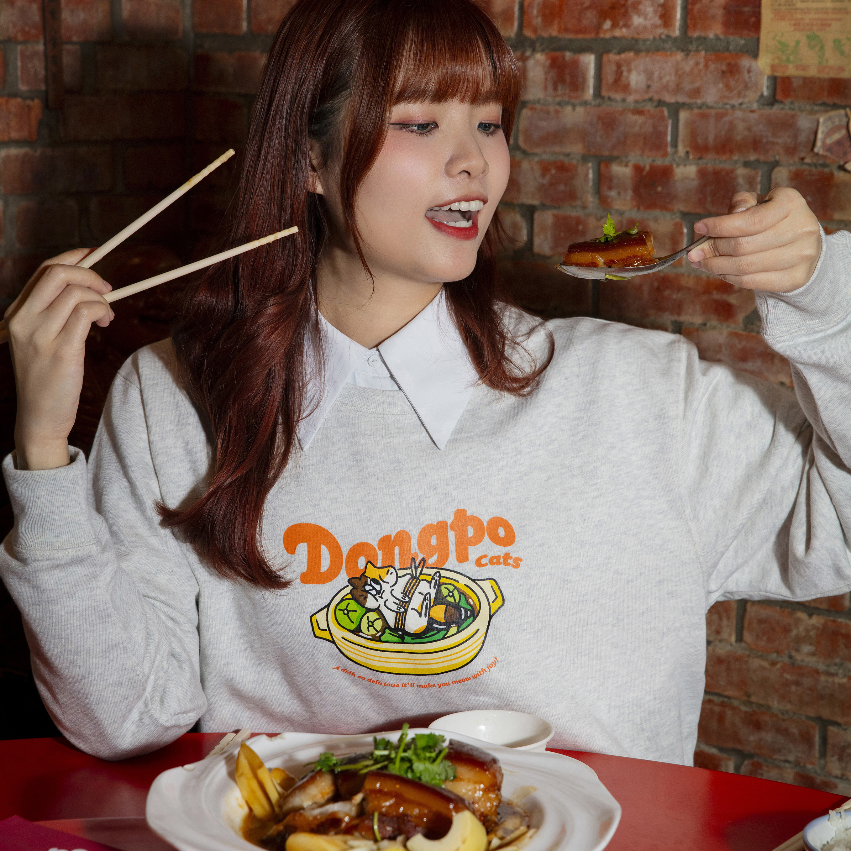 貓坡肉  Dongpo Cats 大學T