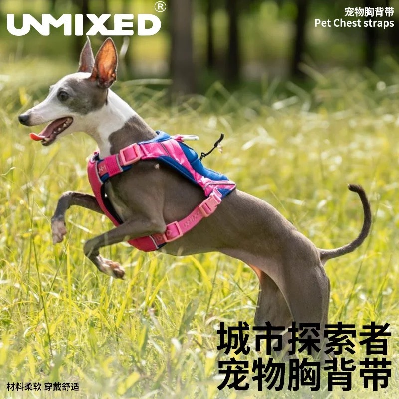 UNMIXED宠物胸背带 城市探险者系列