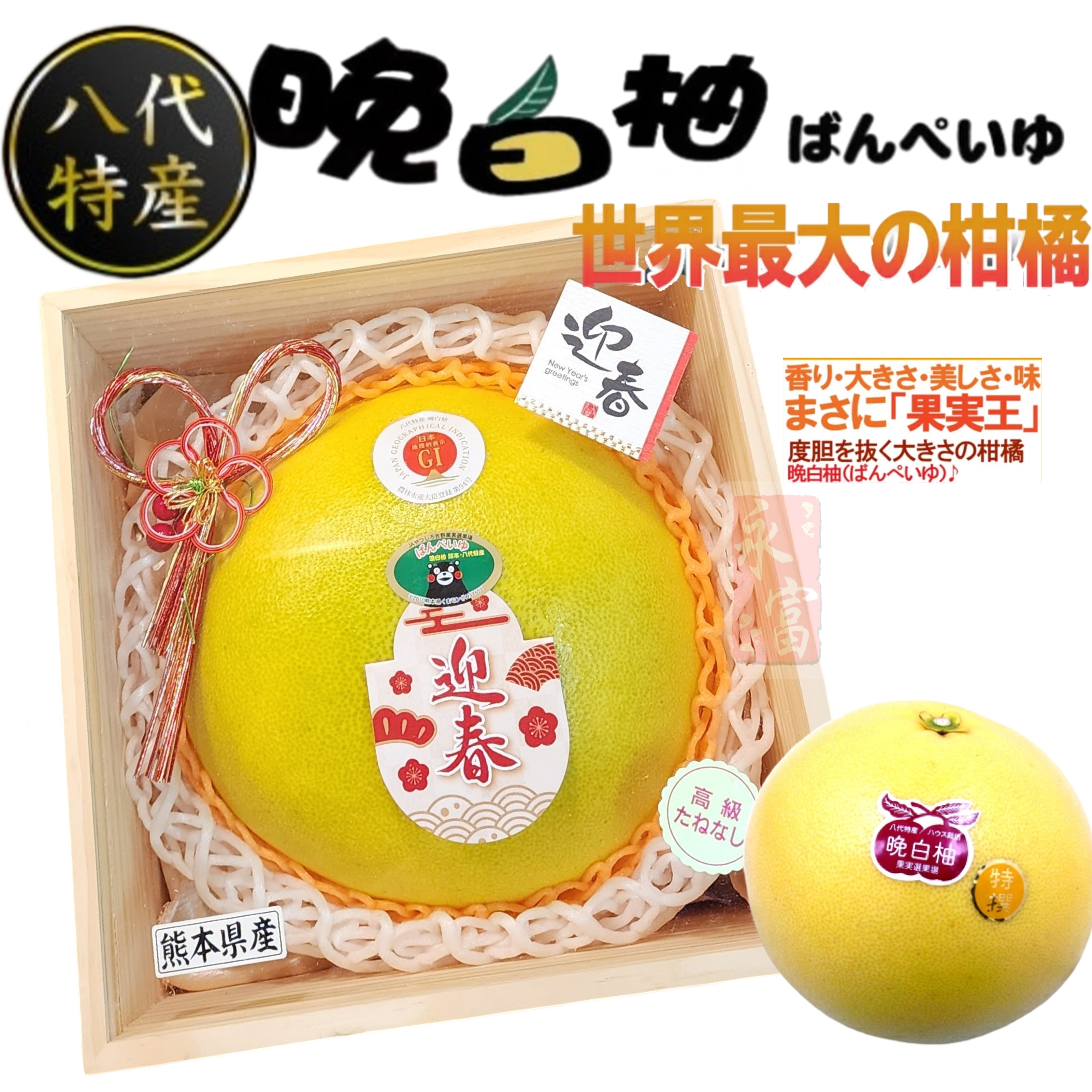 日本熊本縣八代晚白柚