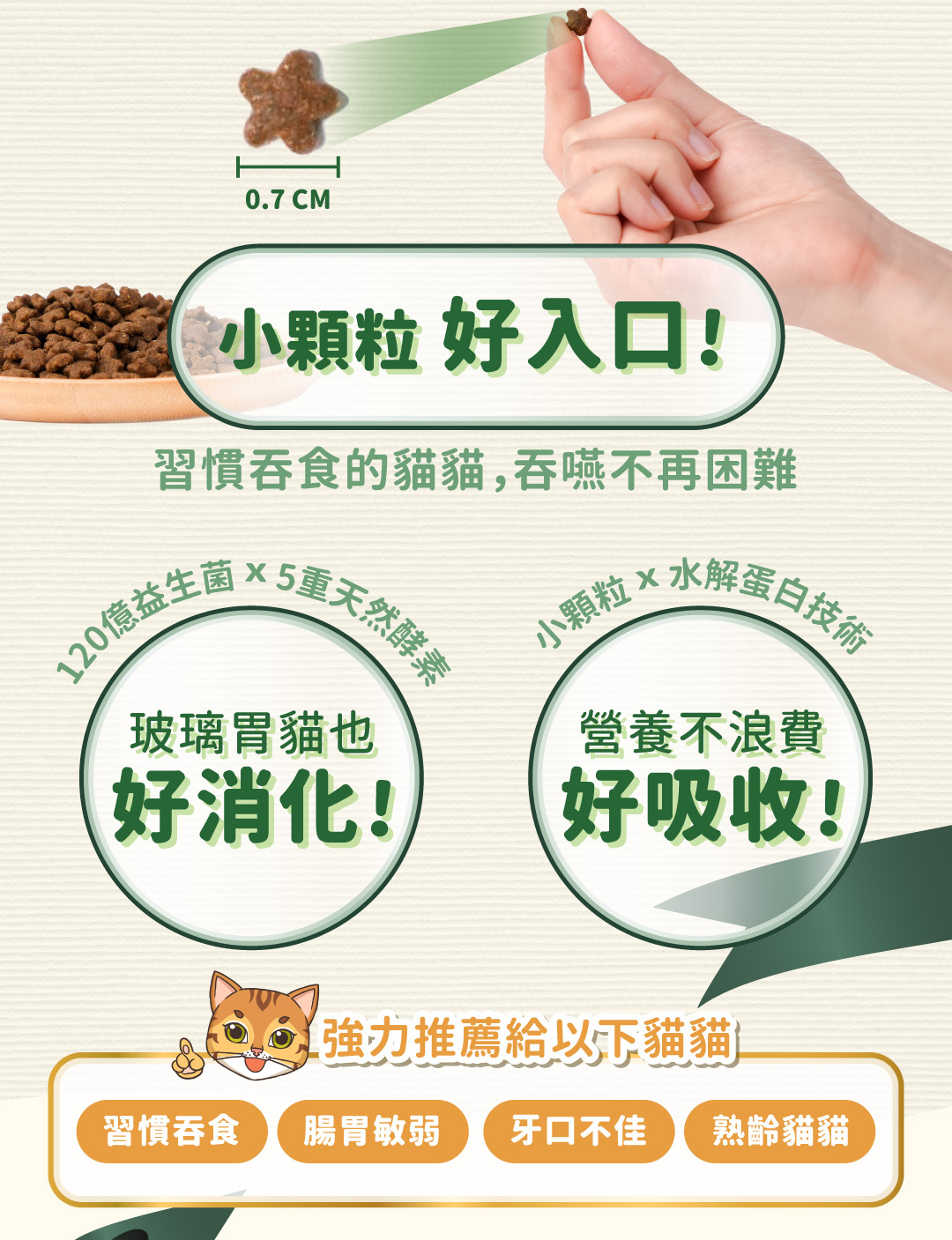 小顆粒貓飼料，直徑0.7公分，易吞食設計，幫助貓咪輕鬆消化吸收，適合牙口不佳或熟齡貓。