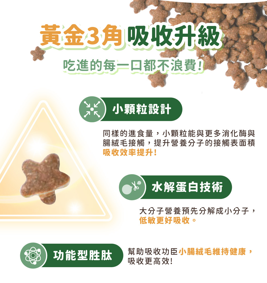 黃金三角吸收升級，小顆粒貓飼料搭配水解蛋白技術與功能性胜肽，提升營養吸收效率。
