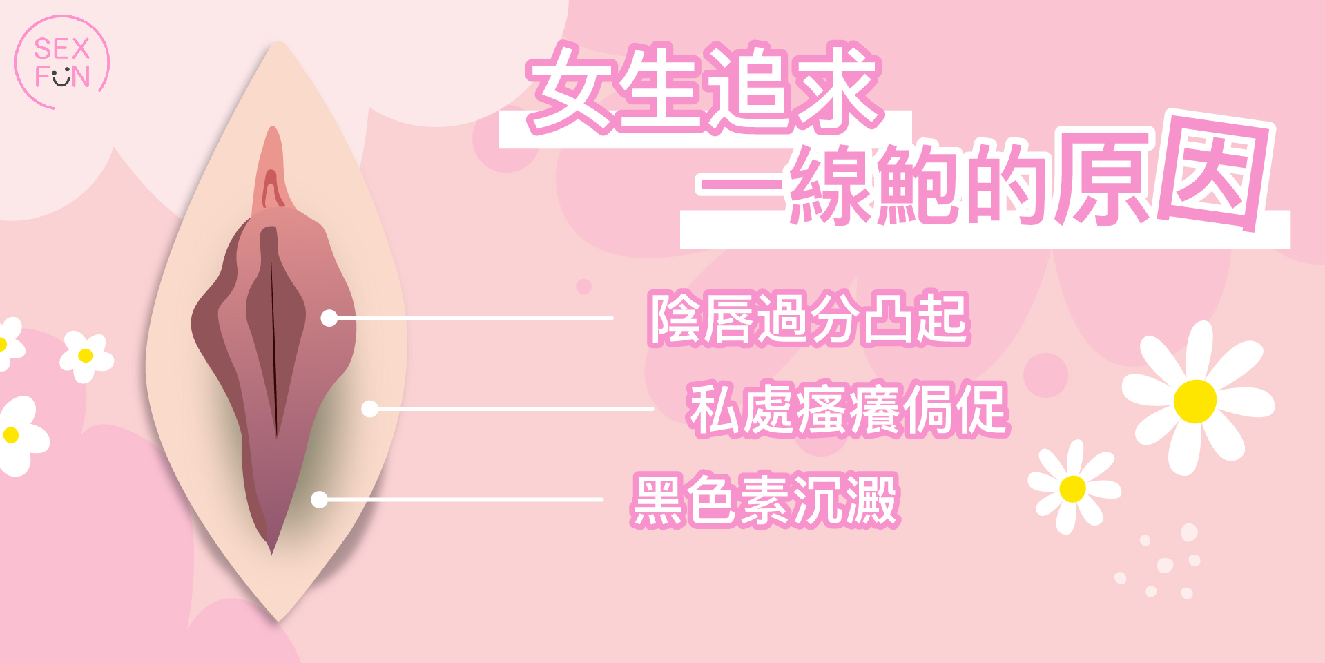 女生追求一線鮑的原因有：1 黑色素沉澱， 2 陰唇過分凸起，3 私處瘙癢侷促