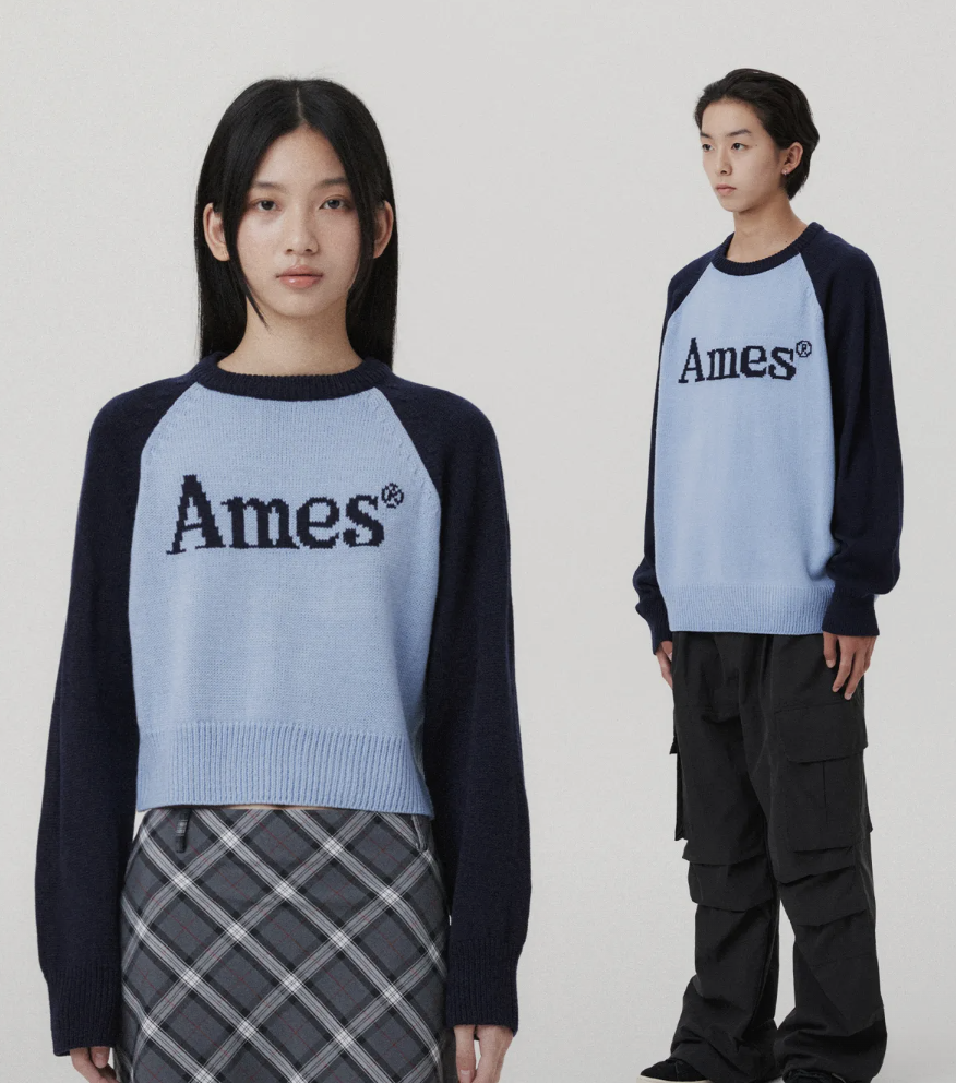 AMES BASIC RAGLAN PULLOVER KNIT BLUE