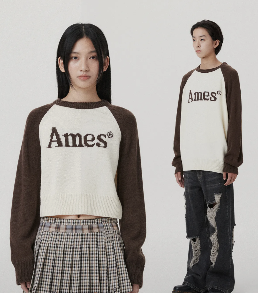 AMES BASIC RAGLAN PULLOVER KNIT BROWN