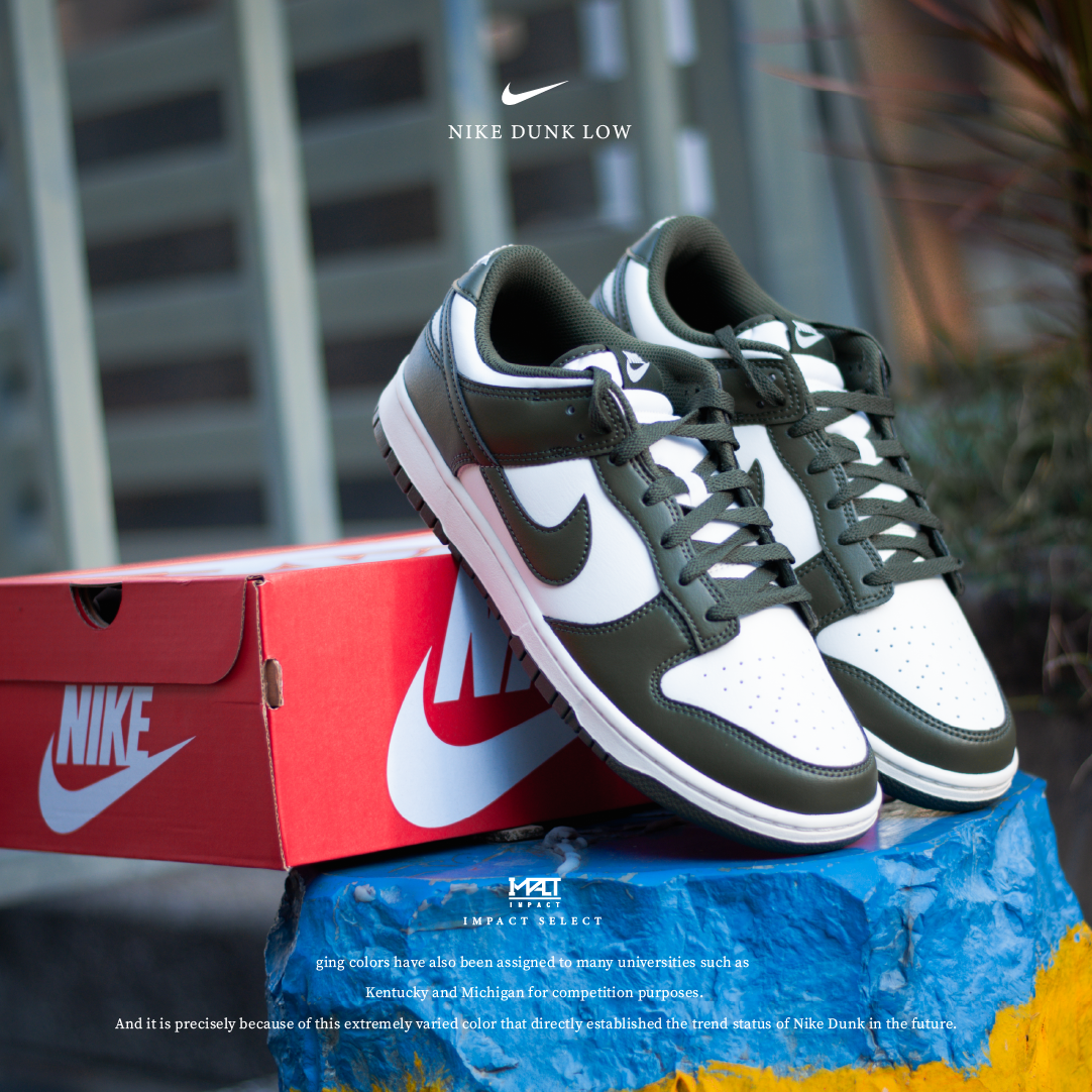 Nike Dunk Low Cargo Khaki 橄欖綠 男鞋 HF5441-102