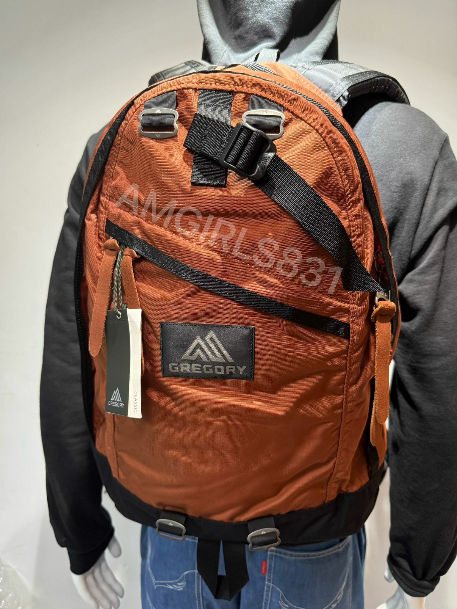 Gregory day pack Rust