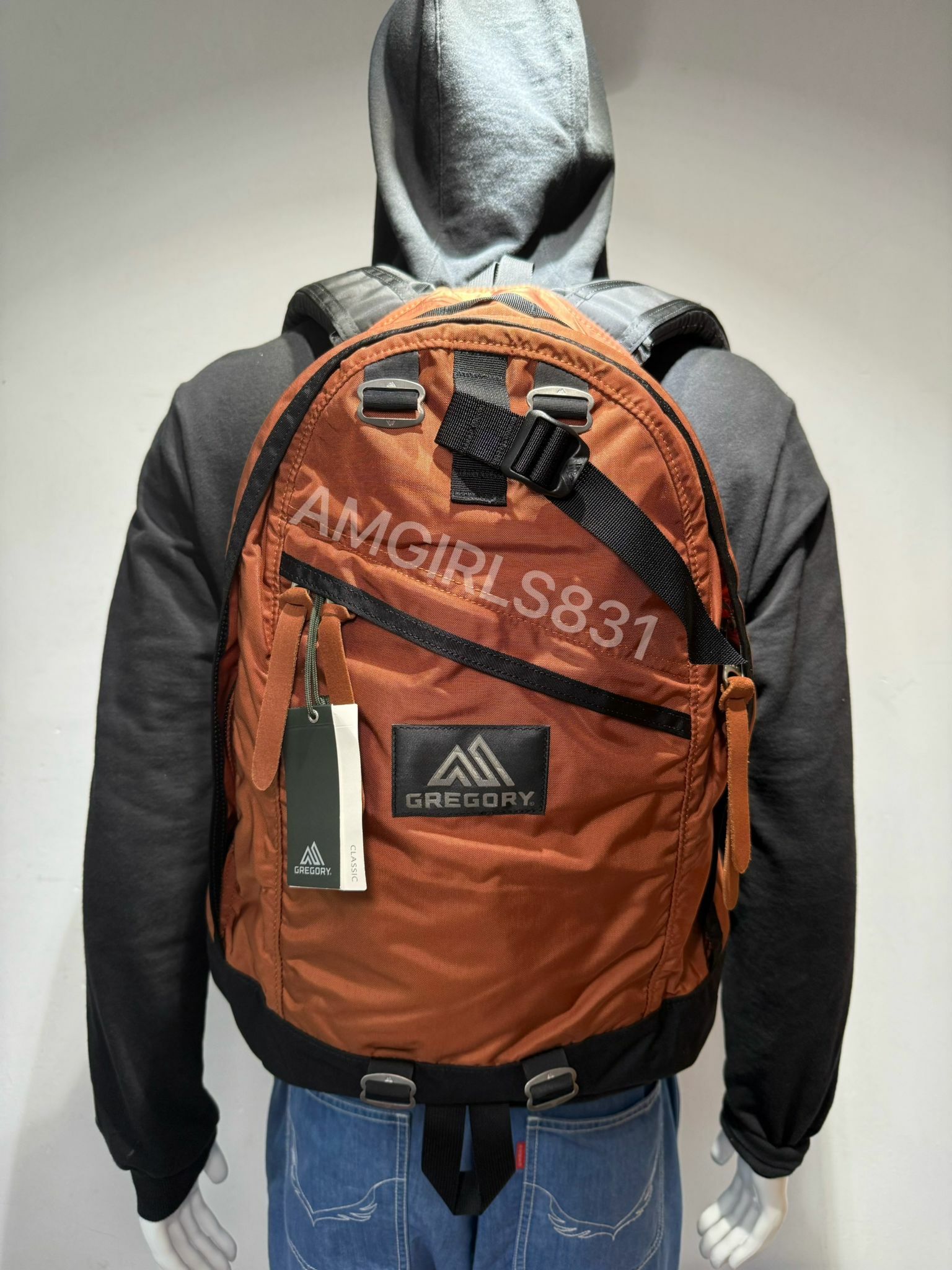 Gregory day pack Rust