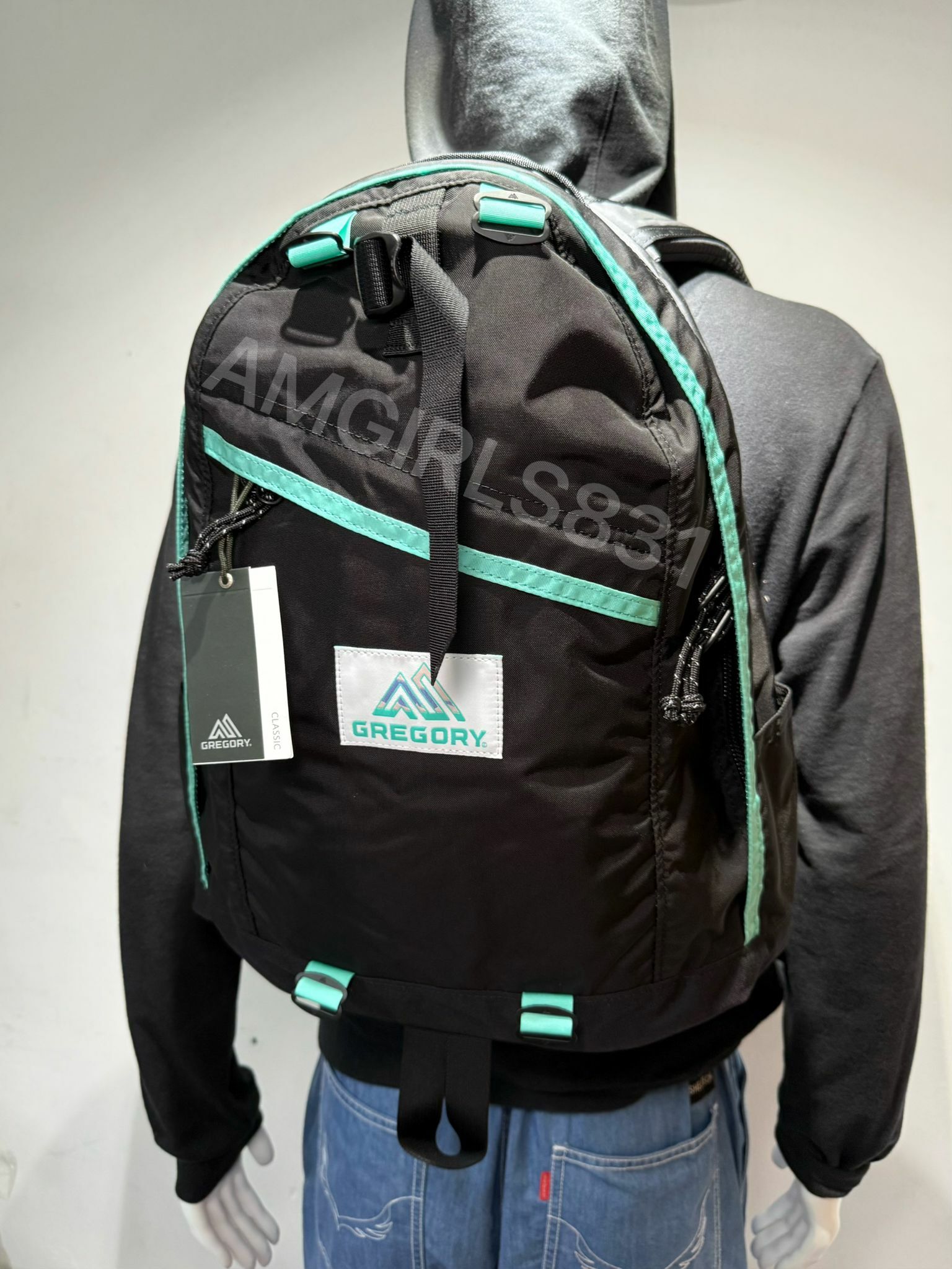 Gregory x NAUGHTIAM day pack 聯乘款式