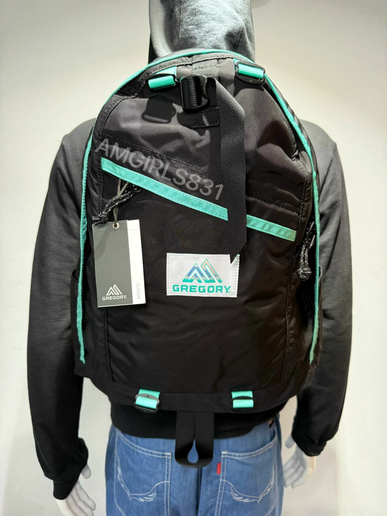 Gregory x NAUGHTIAM day pack 聯乘款式