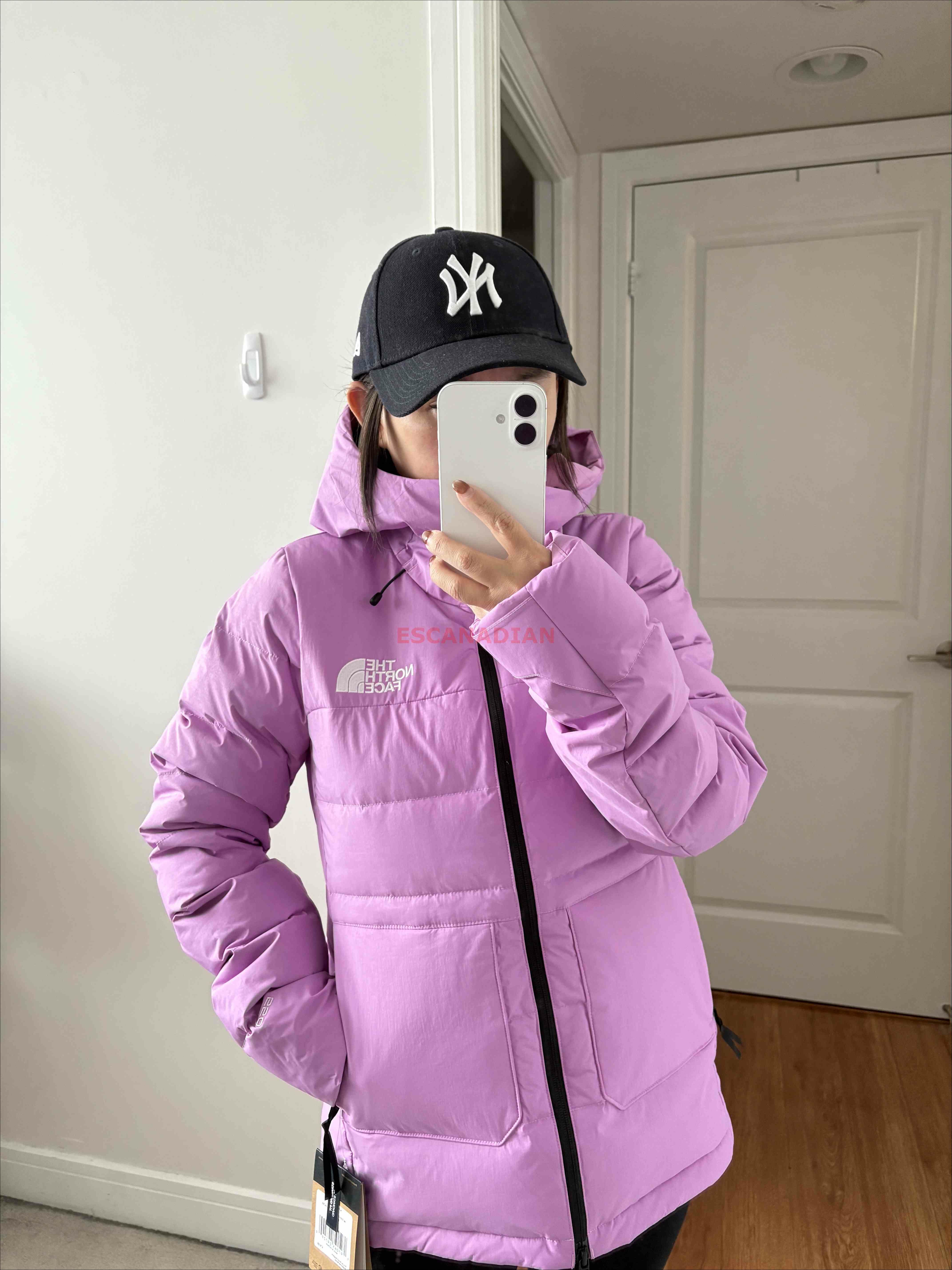 THE NORTH FACE 女大人 550蓬鬆羽絨 雪衣級 防水 防風 硬挺面料 正反刺繡標 外套