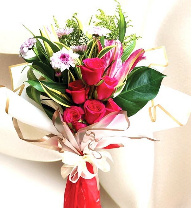 HV13⭐⭐⭐⭐⭐FREE DELIVERY