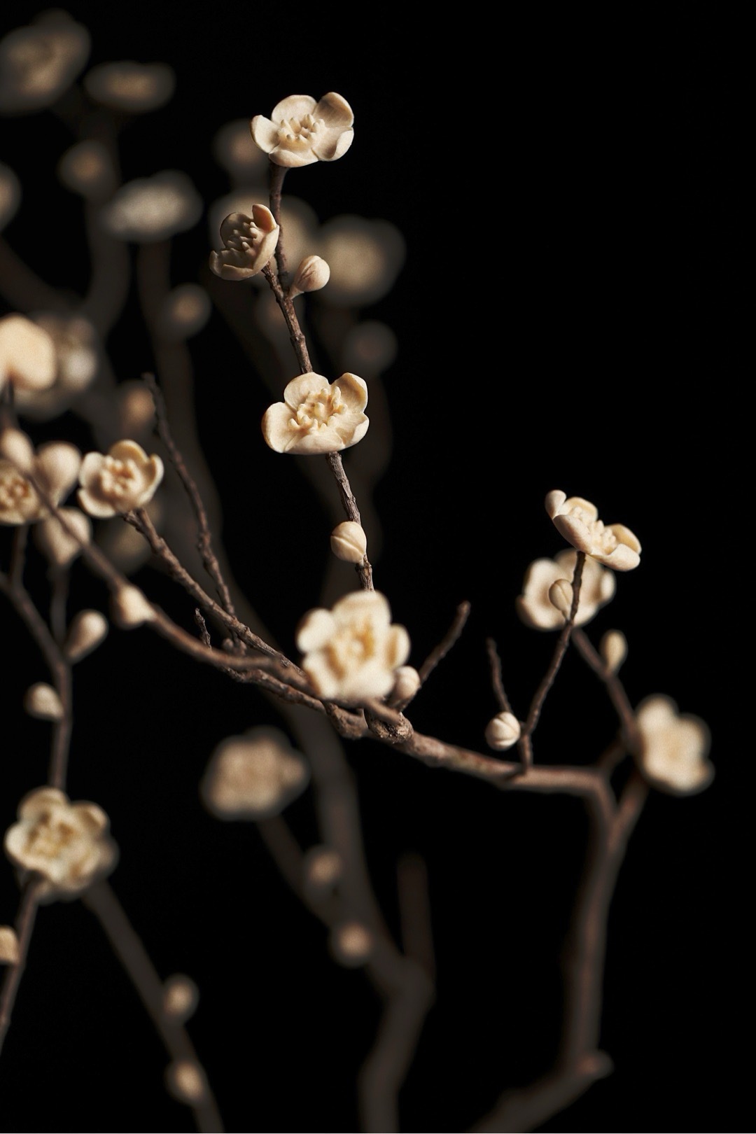 Natural tree branches "Watching the snow under the plum blossoms"