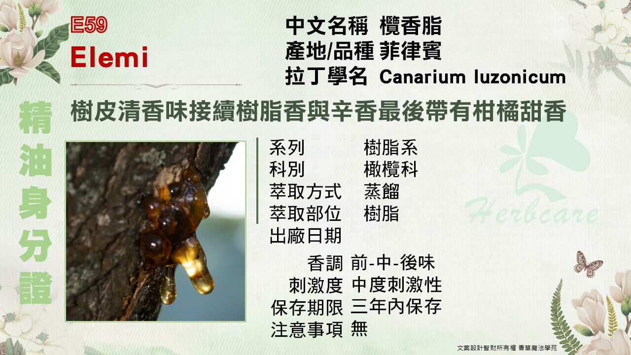 菲律賓小農欖香脂純精油