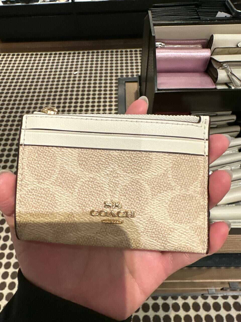 [S] COACH CW870 MN ID SKY SIG,IM/SAND/CHALK, 196395548224 (SCO1025)